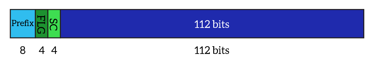 Format of a multicast address in IPv6