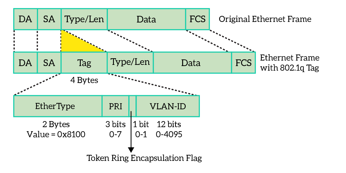 802.1q frame extends the ethernet frame to add tagging