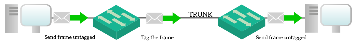 Switches uses VLAN IDs to tag frames