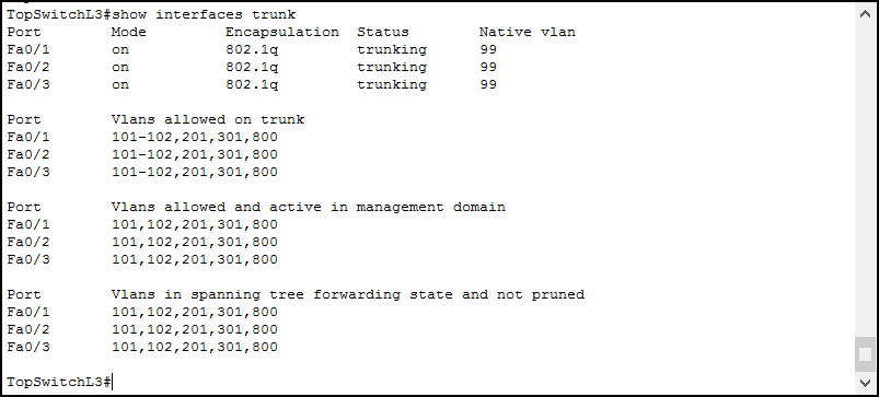 Switch troubleshooting with show interfaces trunk
