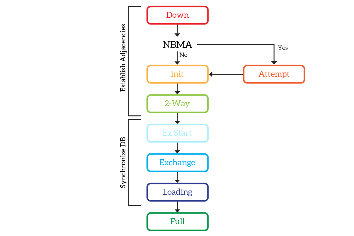 OSPF states diagram: from down it goes to Init, 2-Way, ExStart, Exchange, Loading, Full