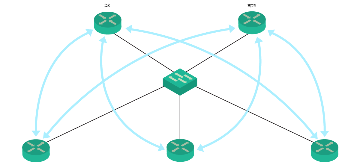 OSPF Designated Router coordinate the update propagation on a broadcast segment