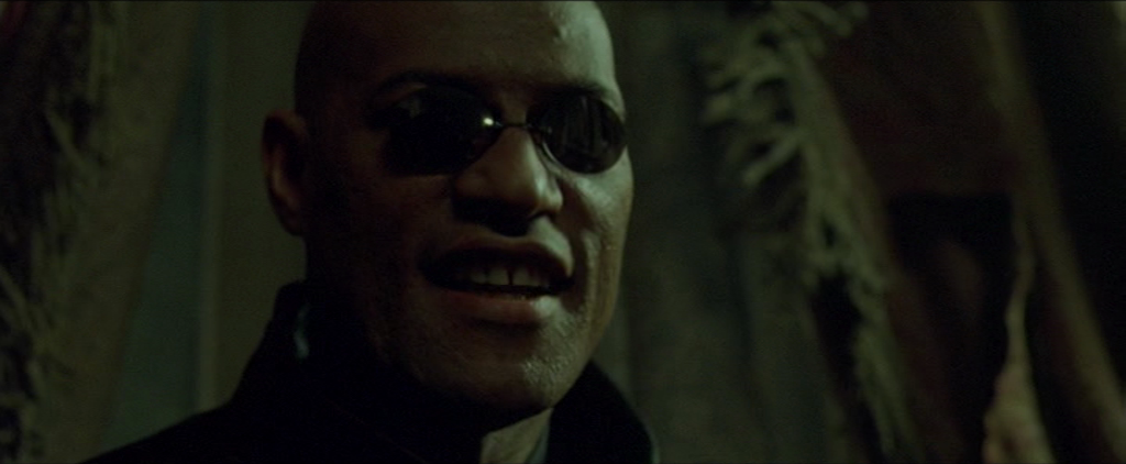 Morpheus explains The Matrix. Beyond being a successful movie franchise, the matrix is an organizational structure that can influence project management authority